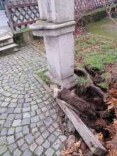Bild zu gemeldetem Anliegen vom *2024-01-16 17:55:07