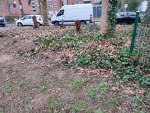 Bild zu gemeldetem Anliegen vom *2024-01-16 13:33:26