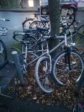 Bild zu gemeldetem Anliegen vom *2024-01-26 08:25:07