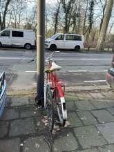 Bild zu gemeldetem Anliegen vom *2024-01-23 15:37:24