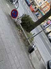Bild zu gemeldetem Anliegen vom *2024-01-08 15:35:31