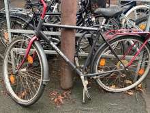 Bild zu gemeldetem Anliegen vom *2024-01-22 15:14:02