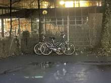 Bild zu gemeldetem Anliegen vom *2024-01-23 16:42:07