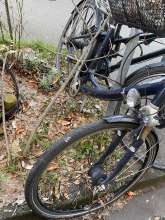 Bild zu gemeldetem Anliegen vom *2024-01-09 09:40:34