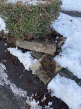 Bild zu gemeldetem Anliegen vom *2024-01-19 15:58:18