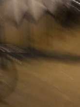 Bild zu gemeldetem Anliegen vom *2024-01-01 17:54:29