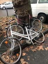 Bild zu gemeldetem Anliegen vom *2024-01-14 12:14:01