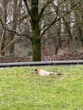 Bild zu gemeldetem Anliegen vom *2024-01-02 09:33:04