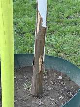 Bild zu gemeldetem Anliegen vom *2024-01-28 14:27:52