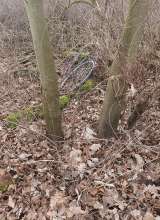 Bild zu gemeldetem Anliegen vom *2024-01-30 16:28:47