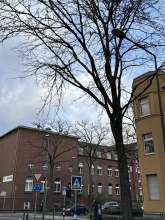 Bild zu gemeldetem Anliegen vom *2024-01-03 13:02:09