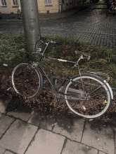 Bild zu gemeldetem Anliegen vom *2024-01-22 21:53:42