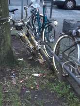 Bild zu gemeldetem Anliegen vom *2024-02-22 14:03:00