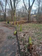 Bild zu gemeldetem Anliegen vom *2024-02-04 15:12:01