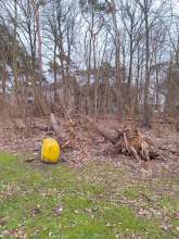 Bild zu gemeldetem Anliegen vom *2024-02-06 09:23:06
