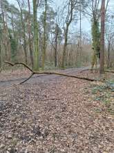 Bild zu gemeldetem Anliegen vom *2024-02-06 09:23:06