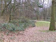 Bild zu gemeldetem Anliegen vom *2024-02-06 11:02:29