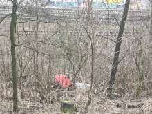 Bild zu gemeldetem Anliegen vom *2024-02-17 14:27:17