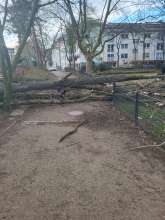 Bild zu gemeldetem Anliegen vom *2024-02-23 16:31:55