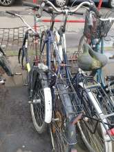 Bild zu gemeldetem Anliegen vom *2024-02-19 11:02:17