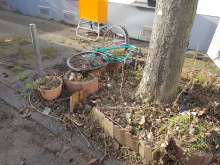 Bild zu gemeldetem Anliegen vom *2024-02-05 11:27:04
