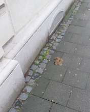 Bild zu gemeldetem Anliegen vom *2024-02-07 16:43:03