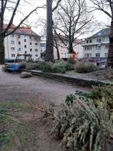 SPIELPLATZ VOLLER WEIHNACHTSBÄUME*2024-02-09 03:27:23
