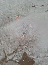 Bild zu gemeldetem Anliegen vom *2024-02-14 12:01:18