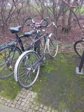 Bild zu gemeldetem Anliegen vom *2024-02-19 12:55:58