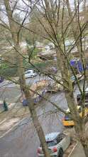 Bild zu gemeldetem Anliegen vom *2024-02-20 07:54:04