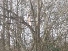 Bild zu gemeldetem Anliegen vom *2024-02-28 12:34:38
