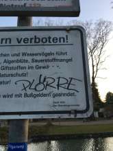Bild zu gemeldetem Anliegen vom *2024-02-05 16:50:48