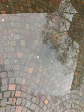 Bild zu gemeldetem Anliegen vom *2024-02-22 08:05:58