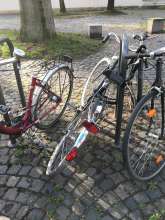 Bild zu gemeldetem Anliegen vom *2024-02-12 16:02:19