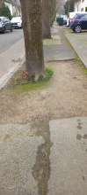Bild zu gemeldetem Anliegen vom *2024-02-28 17:46:38