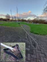 Bild zu gemeldetem Anliegen vom *2024-02-23 06:58:23