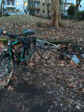 Bild zu gemeldetem Anliegen vom *2024-02-09 14:56:19