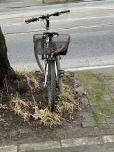 Bild zu gemeldetem Anliegen vom *2024-02-09 14:45:50