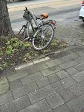 Bild zu gemeldetem Anliegen vom *2024-02-10 14:19:12