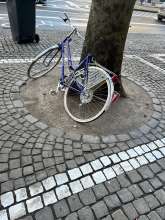 Bild zu gemeldetem Anliegen vom *2024-02-01 03:27:10