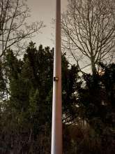 Bild zu gemeldetem Anliegen vom *2024-02-05 14:17:33