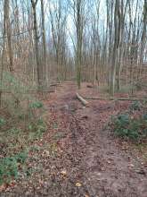 Bild zu gemeldetem Anliegen vom *2024-02-10 16:15:36