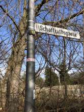 Bild zu gemeldetem Anliegen vom *2024-02-01 12:57:09