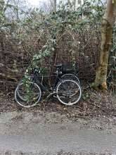 Bild zu gemeldetem Anliegen vom *2024-02-09 14:56:19