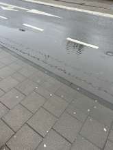 Bild zu gemeldetem Anliegen vom *2024-02-22 08:05:58