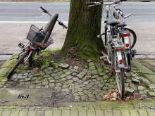 Bild zu gemeldetem Anliegen vom *2024-02-20 10:04:46