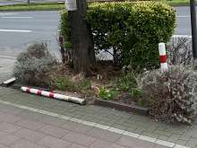 Bild zu gemeldetem Anliegen vom *2024-02-21 14:59:44