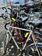 Bild zu gemeldetem Anliegen vom *2024-02-21 09:34:10