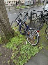 Bild zu gemeldetem Anliegen vom *2024-02-24 14:58:31