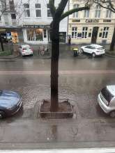 Bild zu gemeldetem Anliegen vom *2024-02-08 14:10:10
